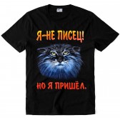 Футболка "Я - не писец, но я пришел"