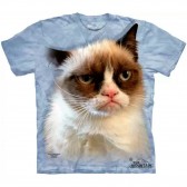 Футболка "Grumpy In Blue" (США)