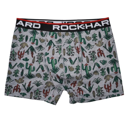 Трусы мужские боксеры "Rock Hard" (кактусы)