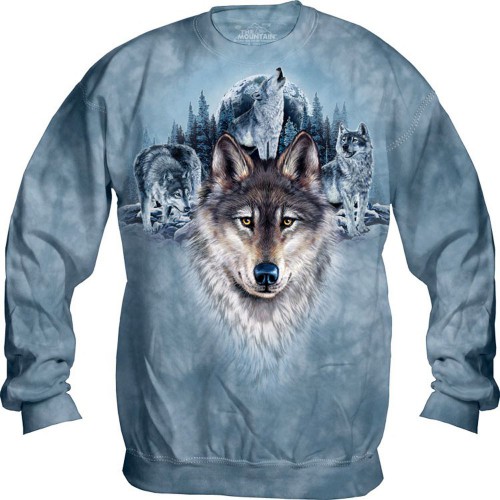 Толстовка "Blue Moon Wolves" (США)
