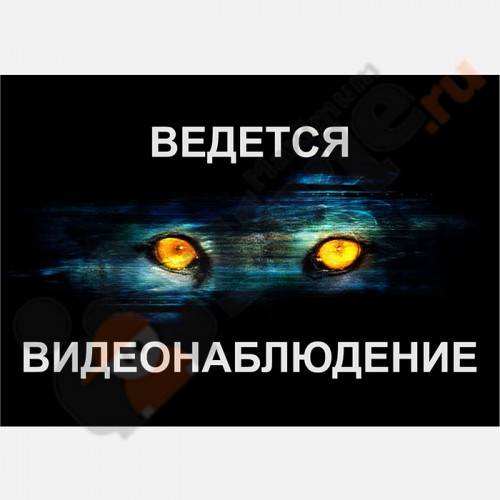 Табличка на стену "Ведется видеонаблюдение" (Глаза)