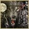 Wolf Collection (Волки)