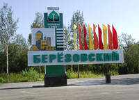 Организаторы совместных покупок в Берёзовском
